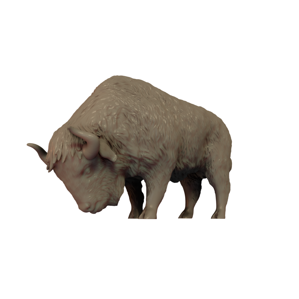 American Bison Pose 2