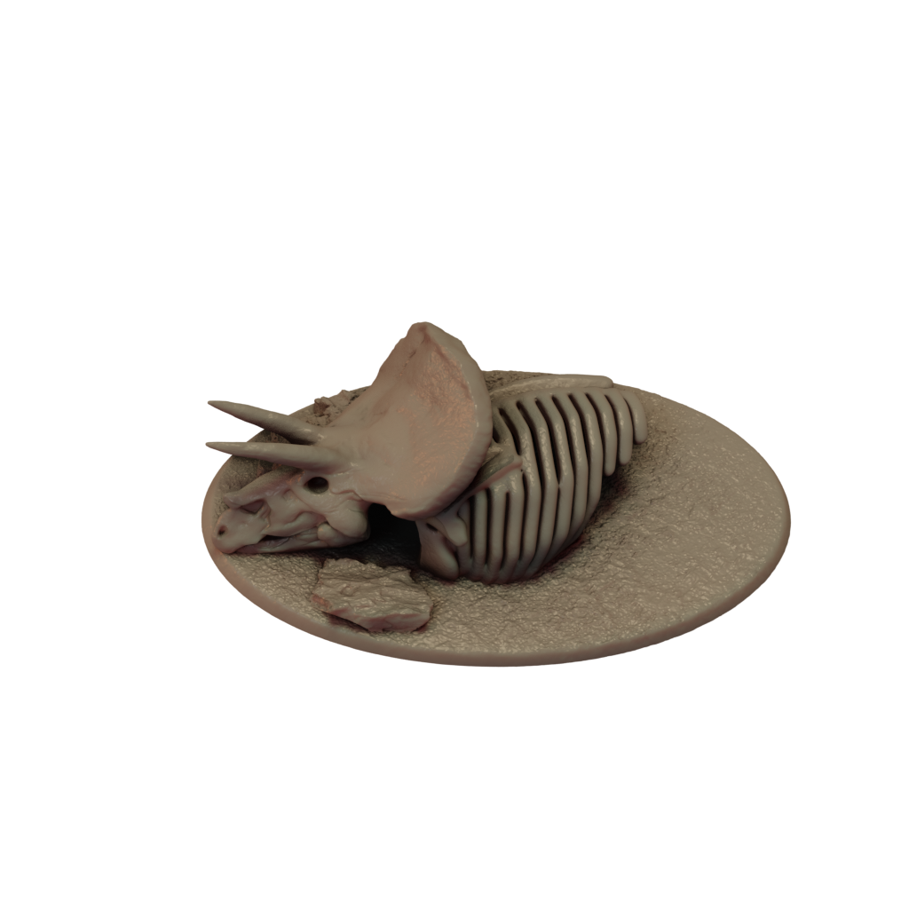 Dinosaur Bones 1 Disain Studio