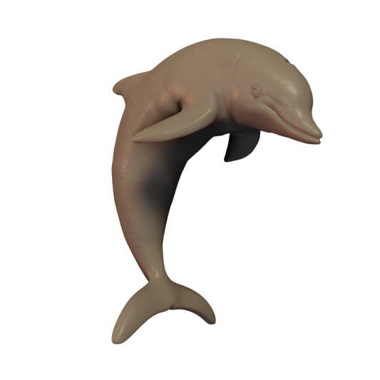 Dolphin Pose 1