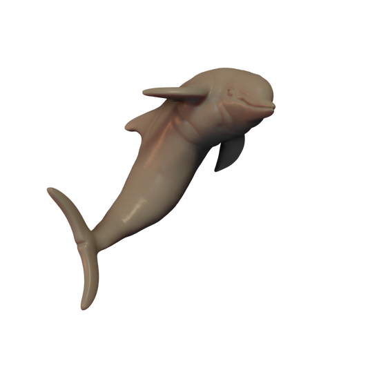 Dolphin Pose 2