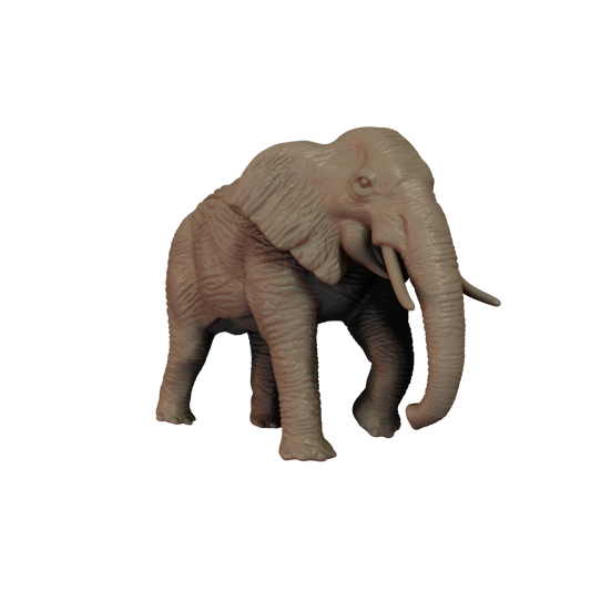 Elephant Pose 1