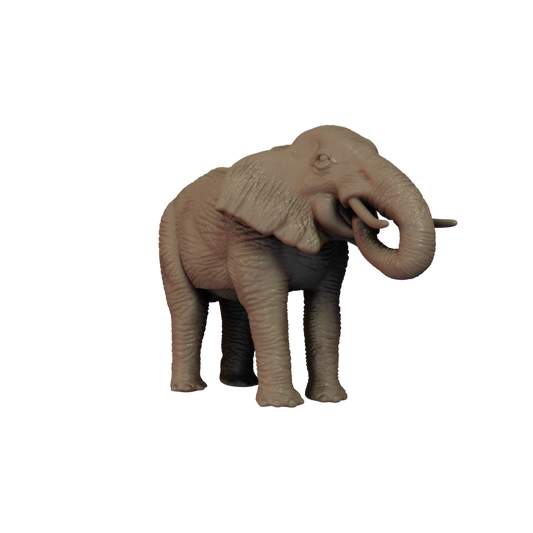 Elephant Pose 2