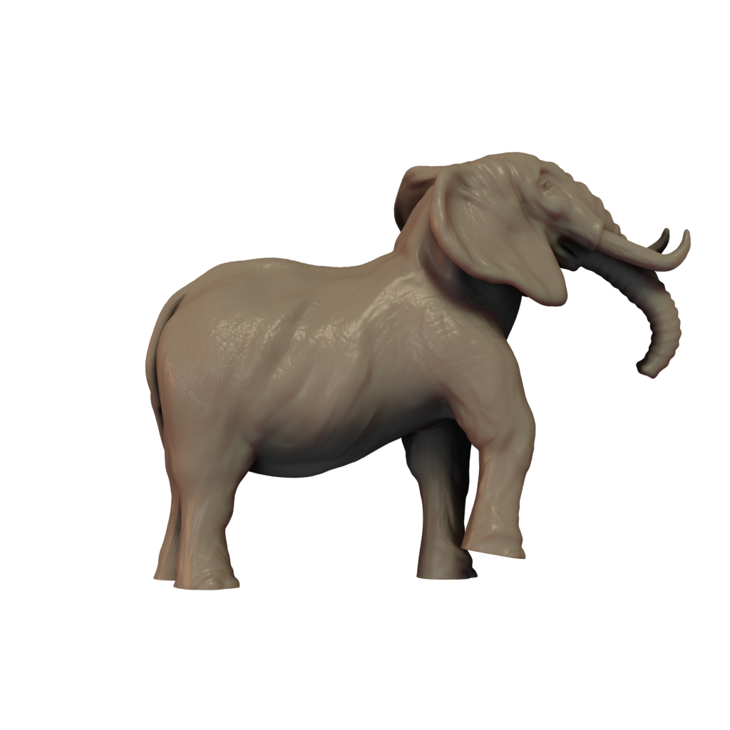 Elephant Pose 4