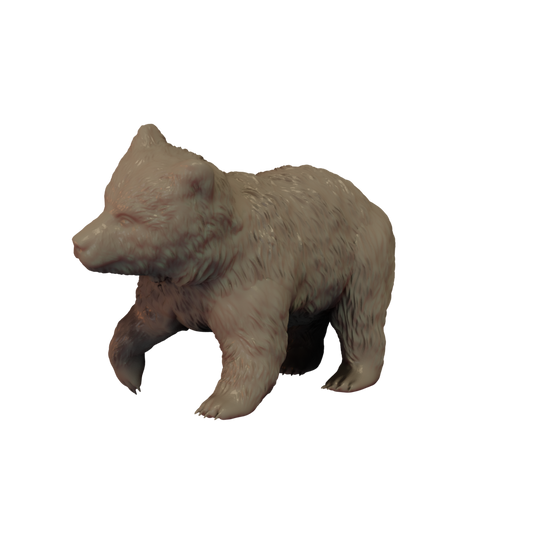 3D Render of Grizzly Bear cub on all fours with one leg raised miniature