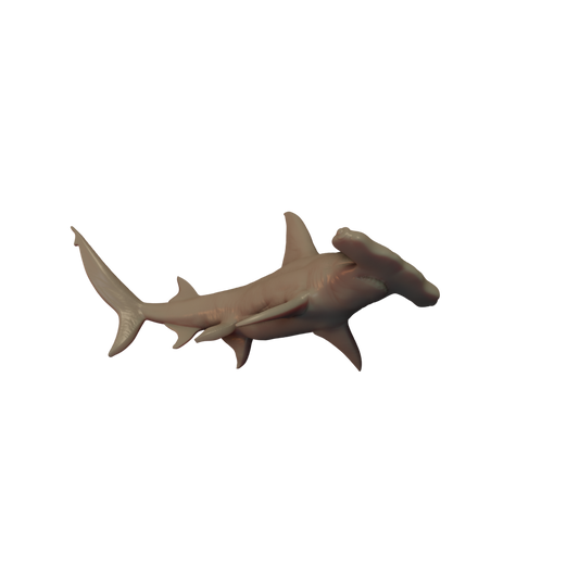 Hammerhead Shark Pose 1