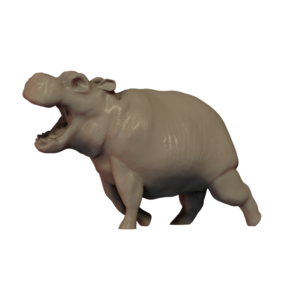 Hippopotamus Baby Pose 1