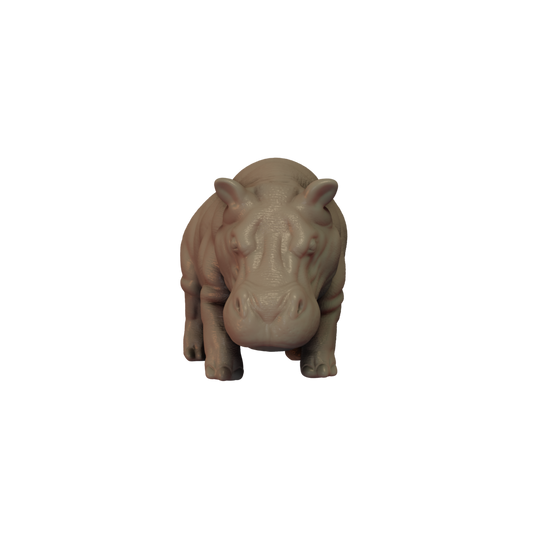 Hippopotamus Pose 1