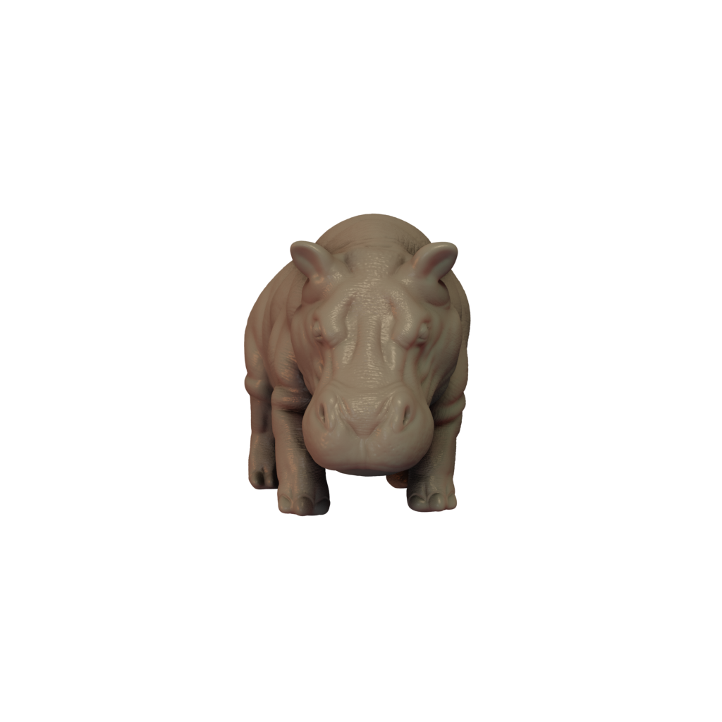 Hippopotamus Pose 1