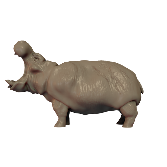 Hippopotamus Pose 2