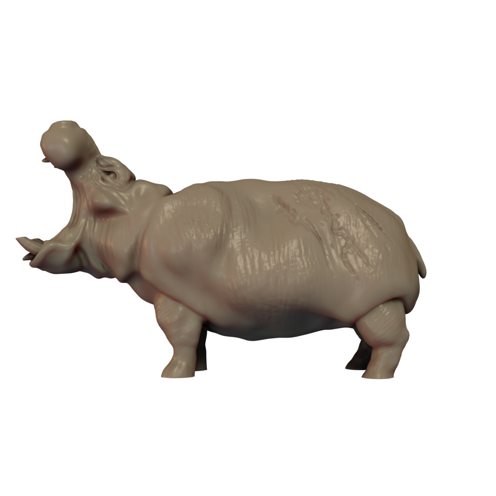 Hippopotamus Pose 2