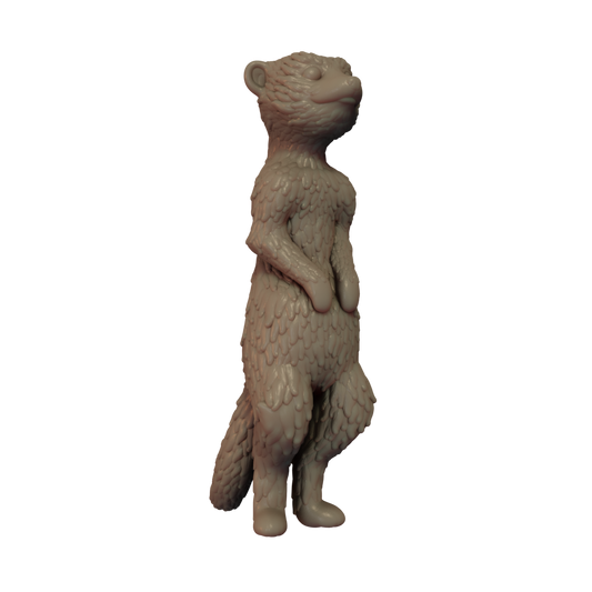 Meerkat Pose 1