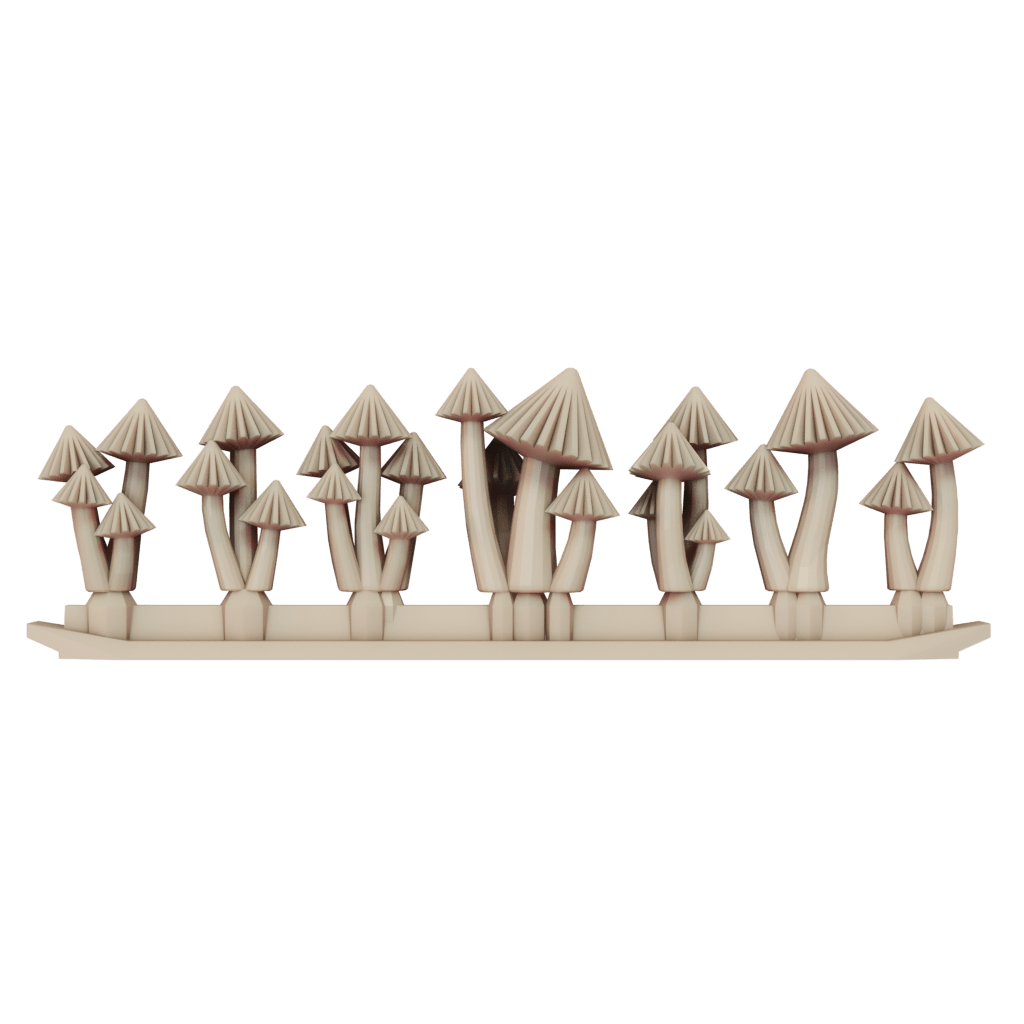 Mushroom Collection 5