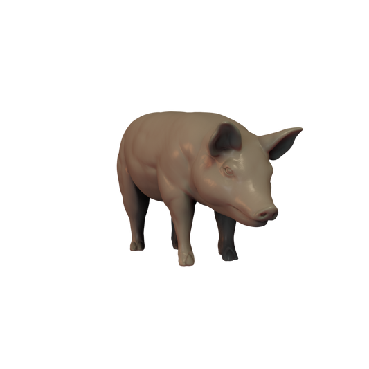 Pig Pose 1
