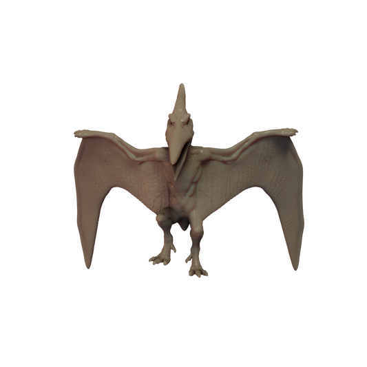 Pteranodon Pose 1