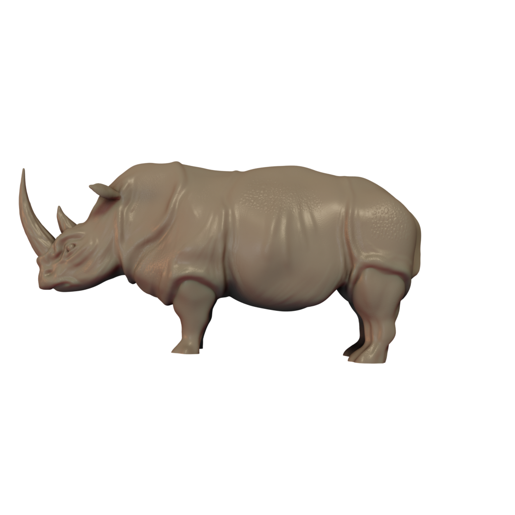Rhinoceros Pose 3
