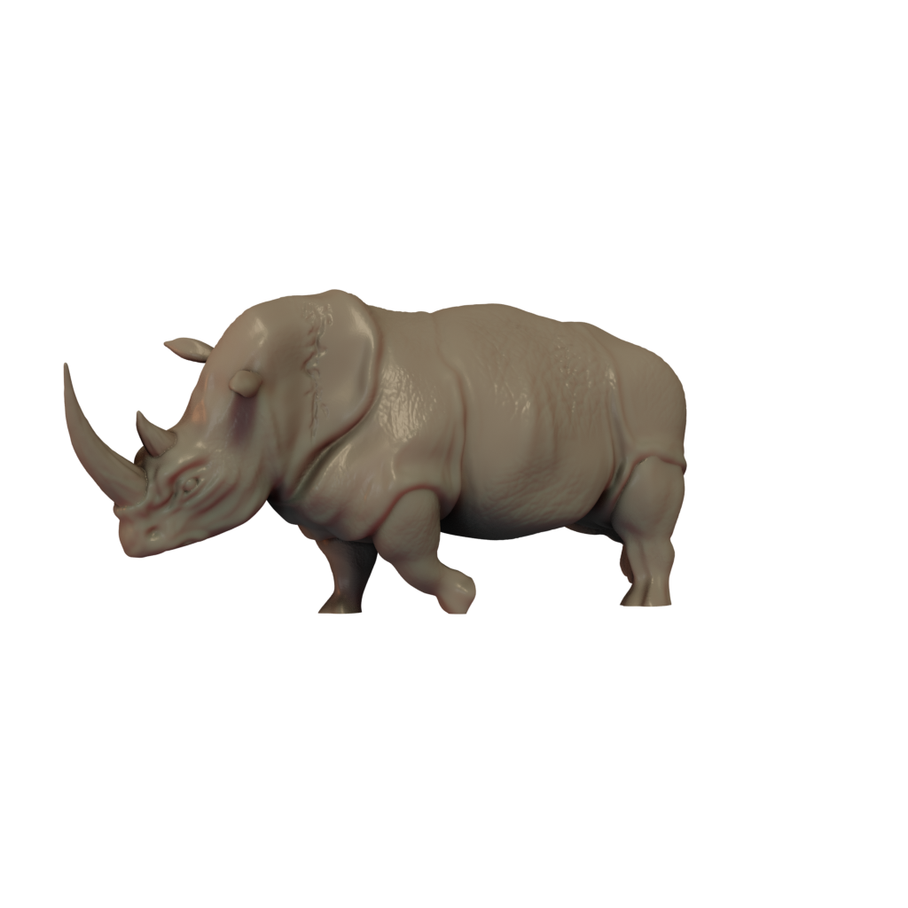 Rhinoceros Charging Pose 1