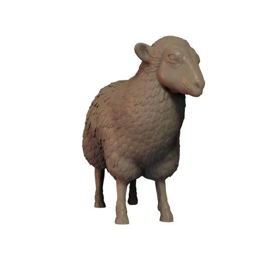 Sheep Pose 1