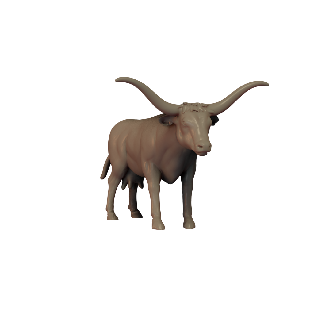 Texas Longhorn Pose 1