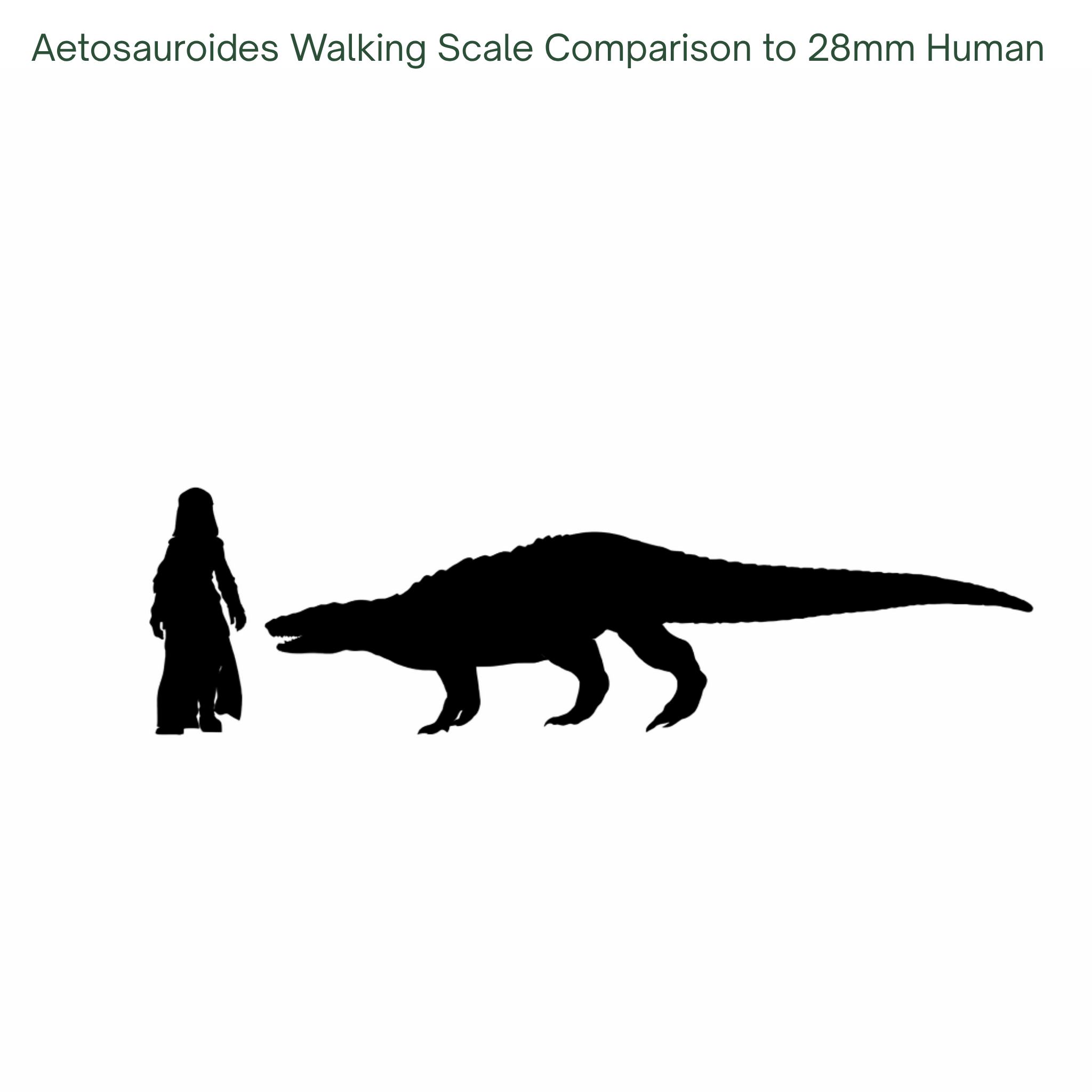 Aetosauroides walking Scale Comparison with a 28mm Human