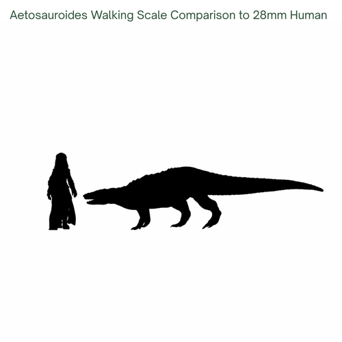 Aetosauroides walking Scale Comparison with a 28mm Human
