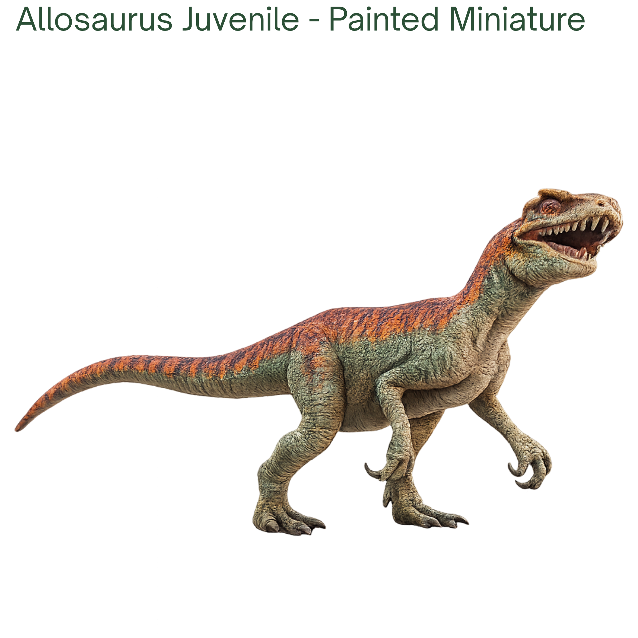 Painted miniature model of an Allosaurus Juvenile on a white background
