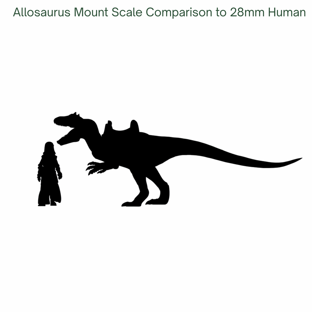 Allosaurus mount scale comparison to a 28mm human figure on a white background