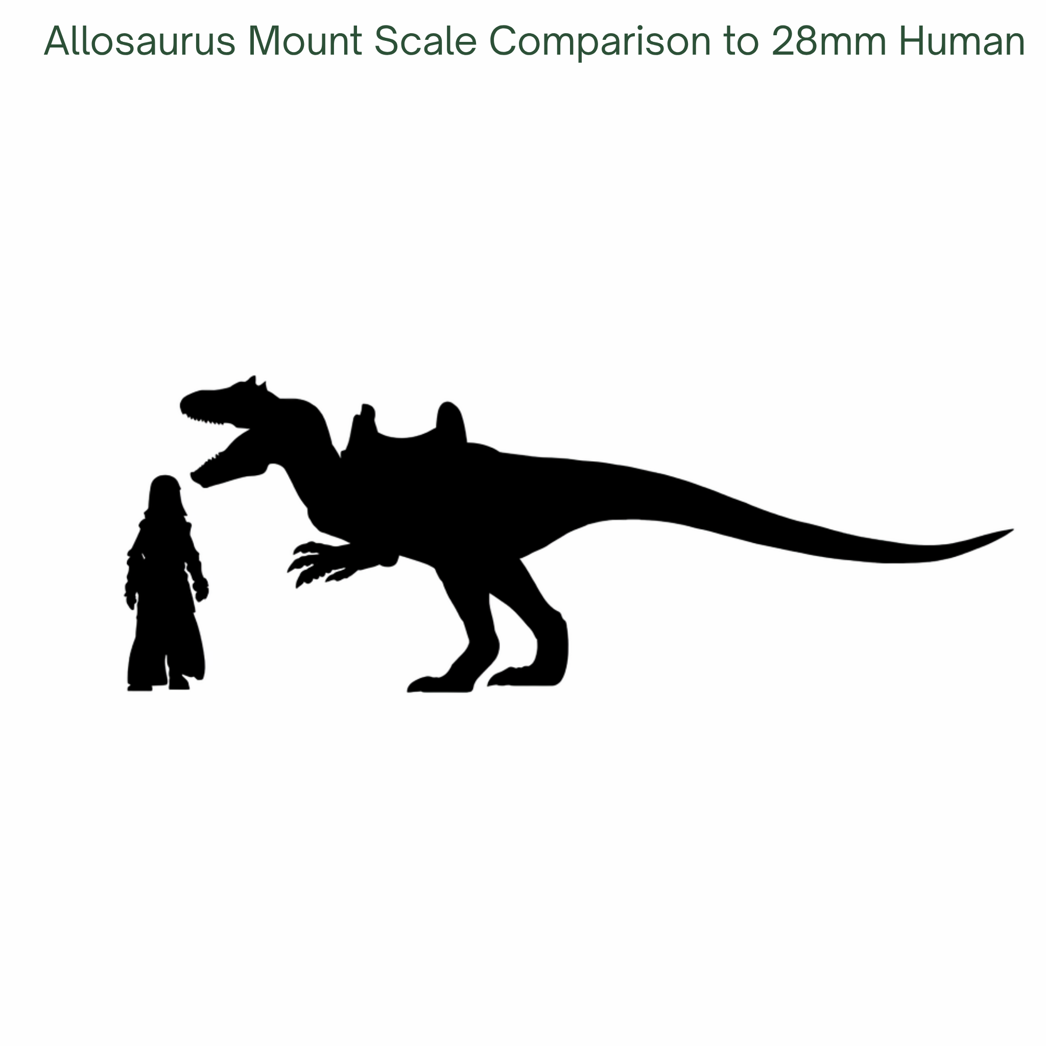 Allosaurus mount scale comparison to a 28mm human figure on a white background