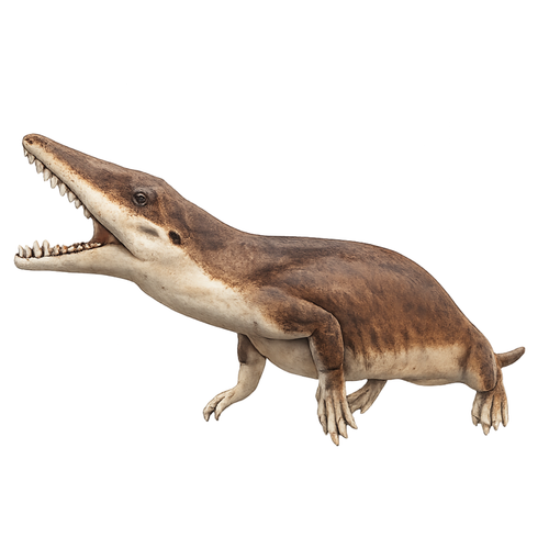 Painted Ambulocetus Roaring miniature