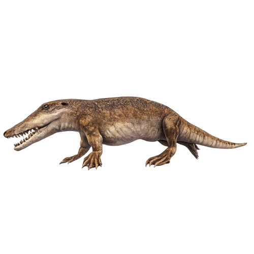Painted Ambulocetus Walking miniature