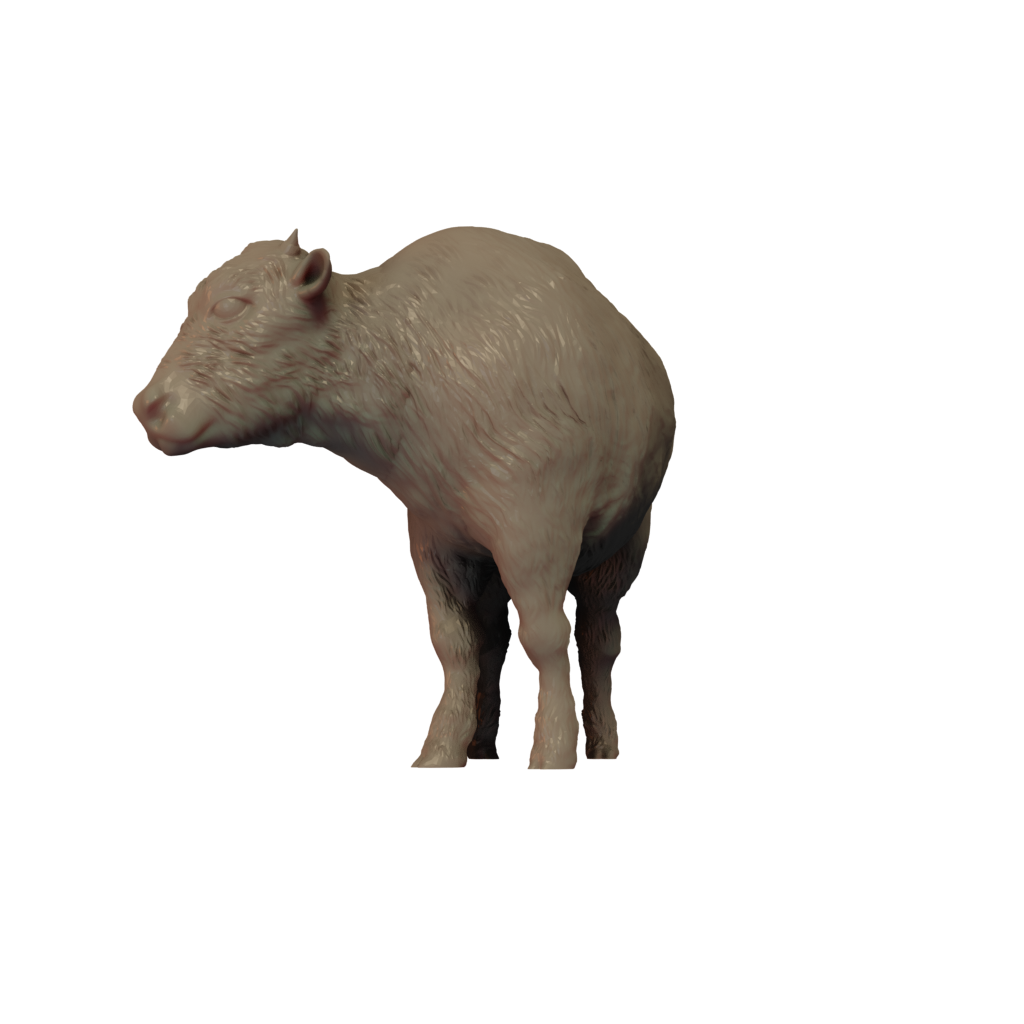 American Bison Calf Head turned 3D printed miniature