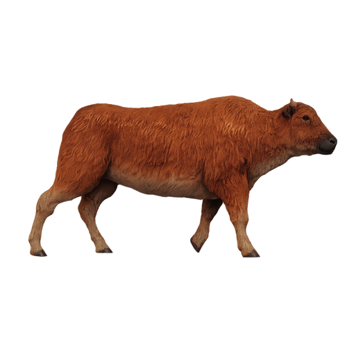 Painted American Bison Calf Running miniature