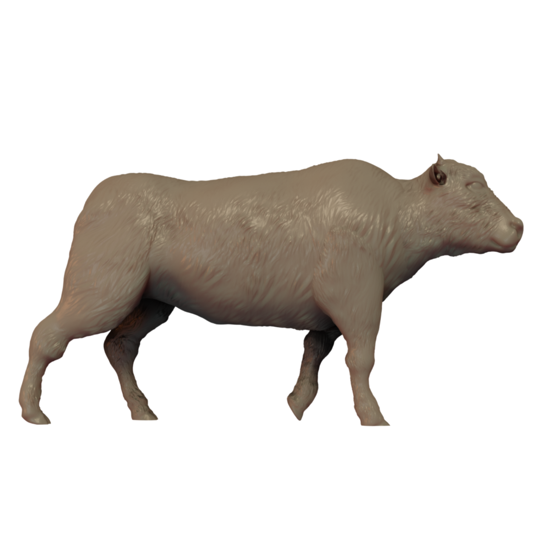 American Bison Calf Running 3D Print side view