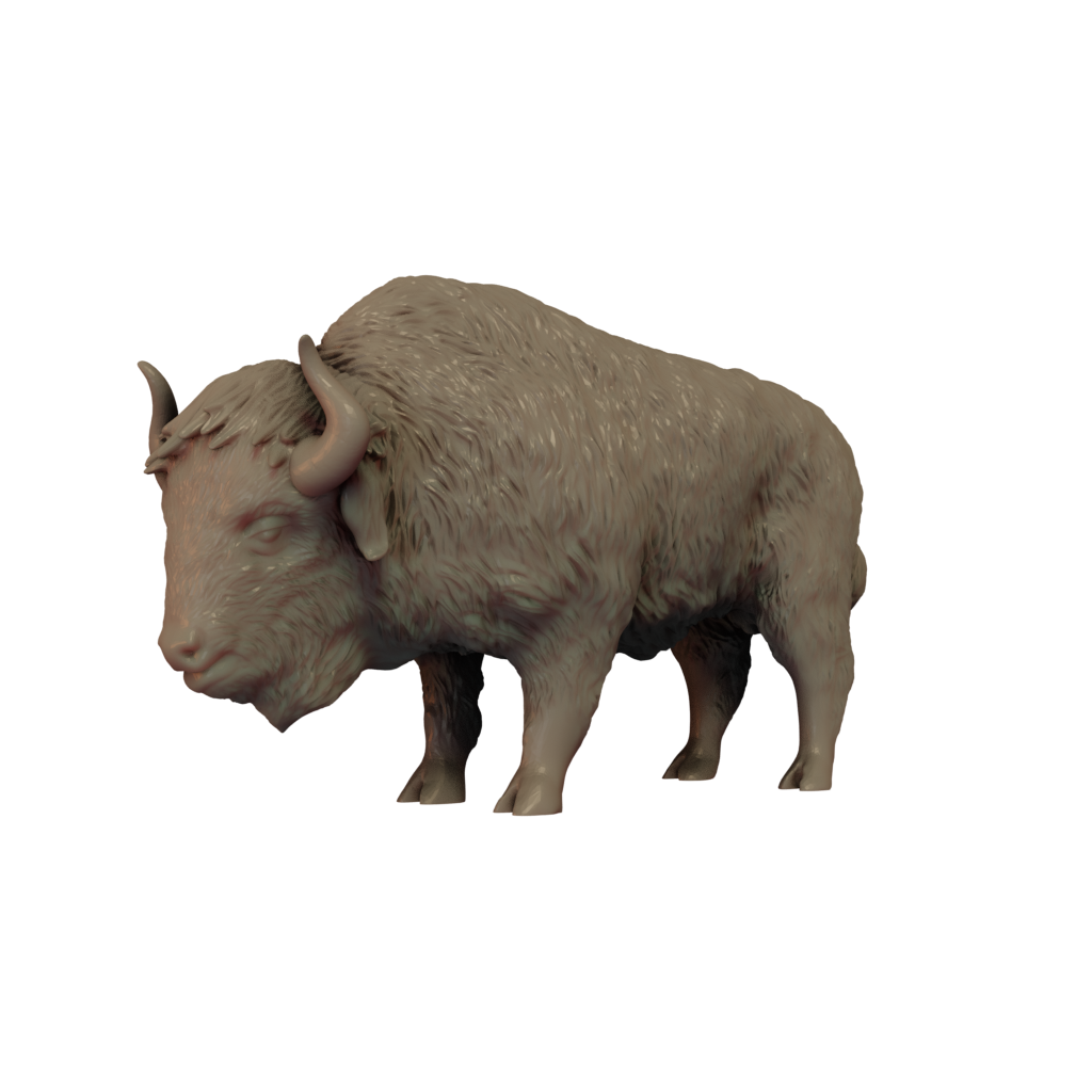 Model of a n American Bison standing on a white background
