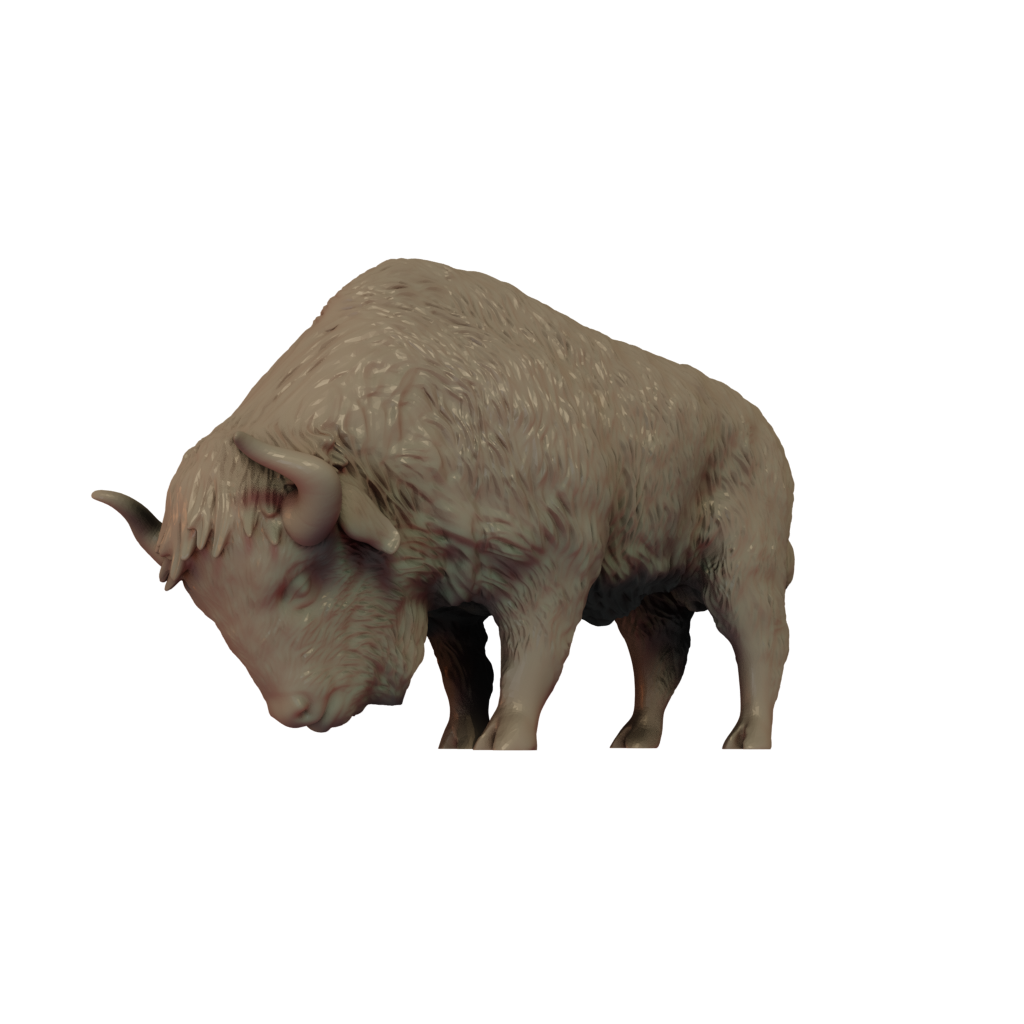 American Bison grazing render side view