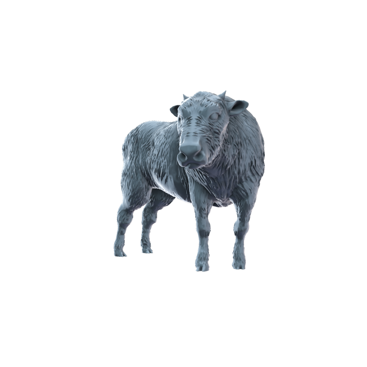 3D printed American bison calf head turned front view