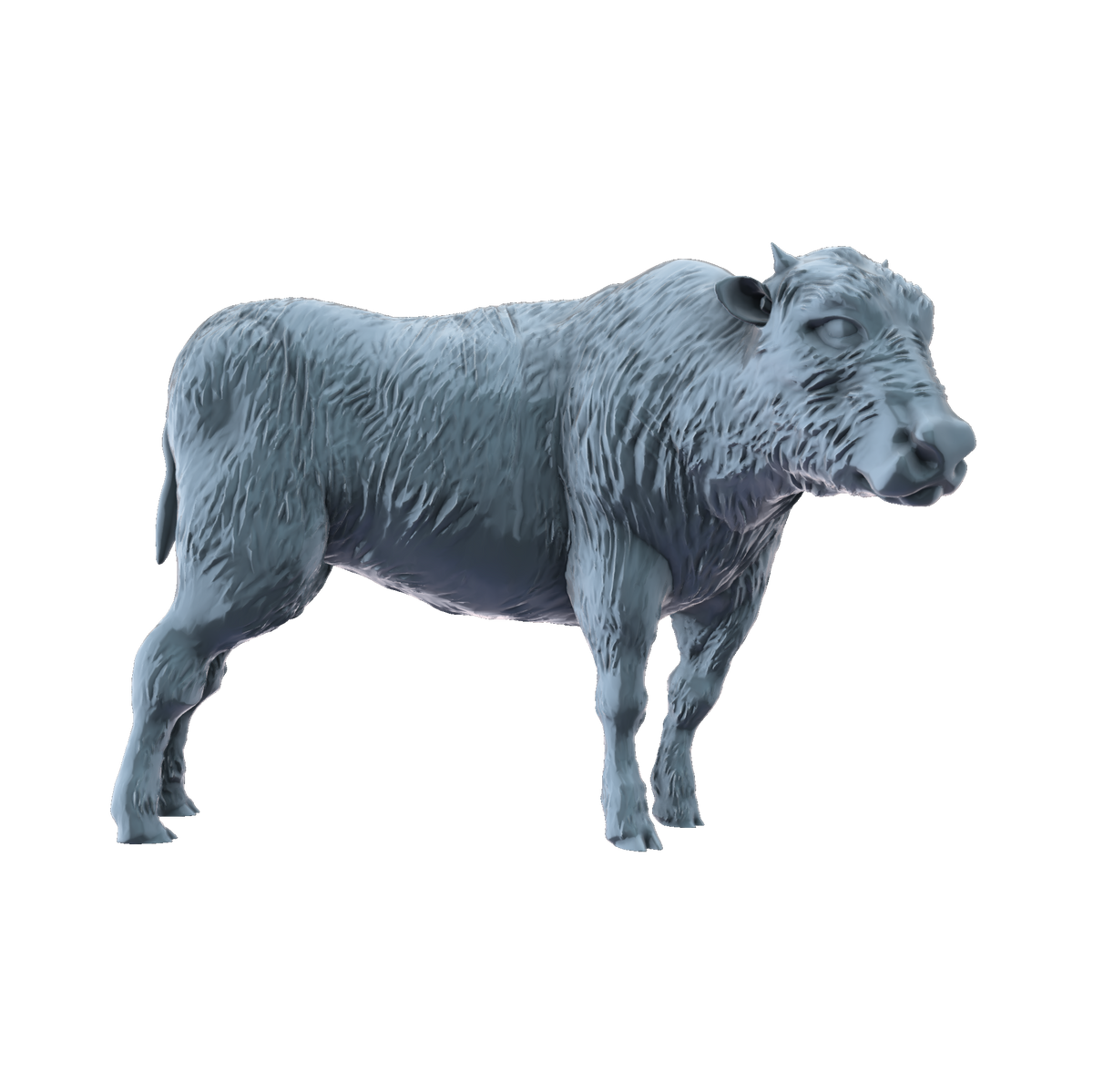 3D printed American bison calf head turned side view
