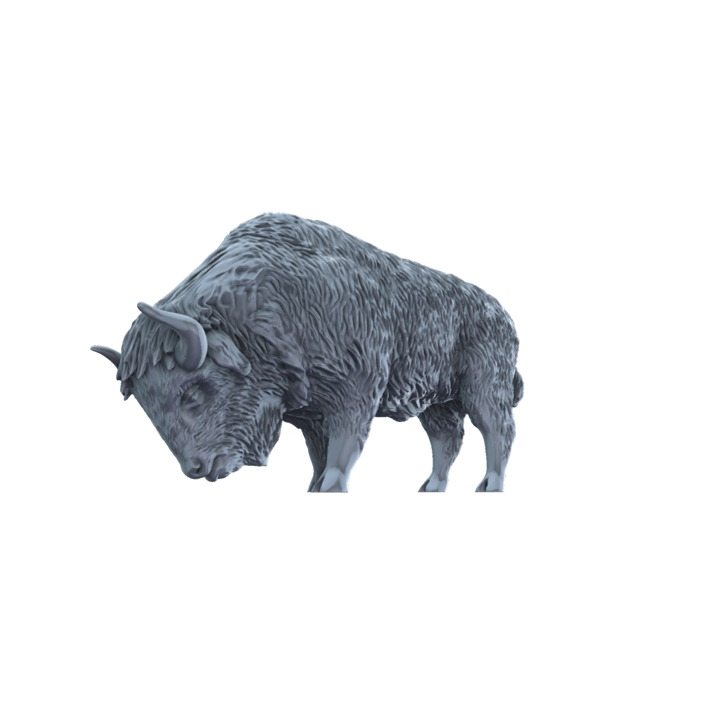 3D printed American bison grazing side view