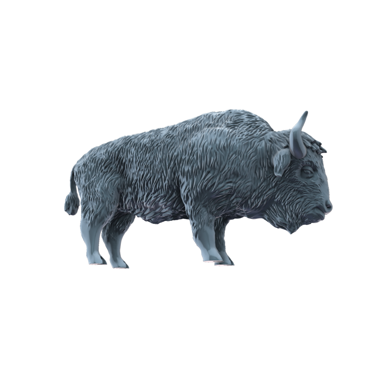 3D printed American bison standing side view