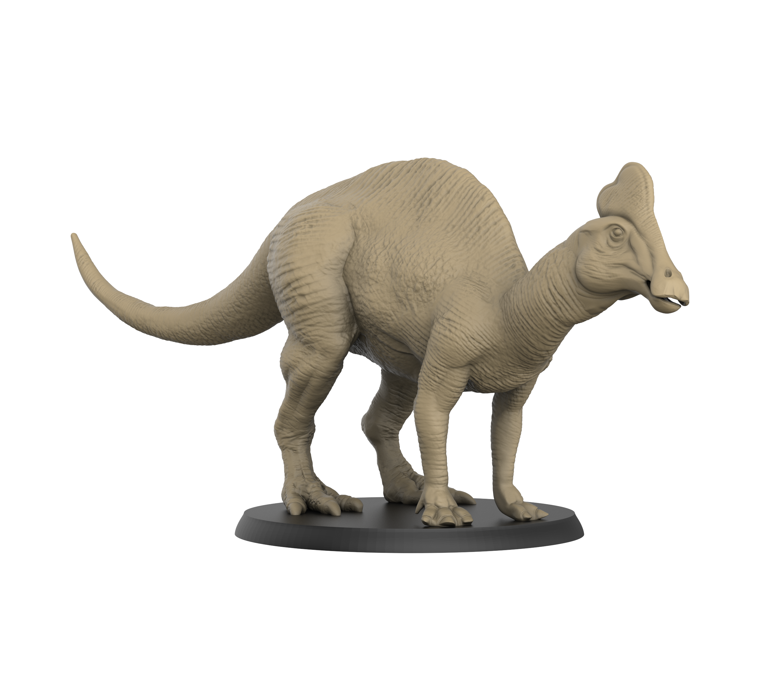 Amurosaurus Front view