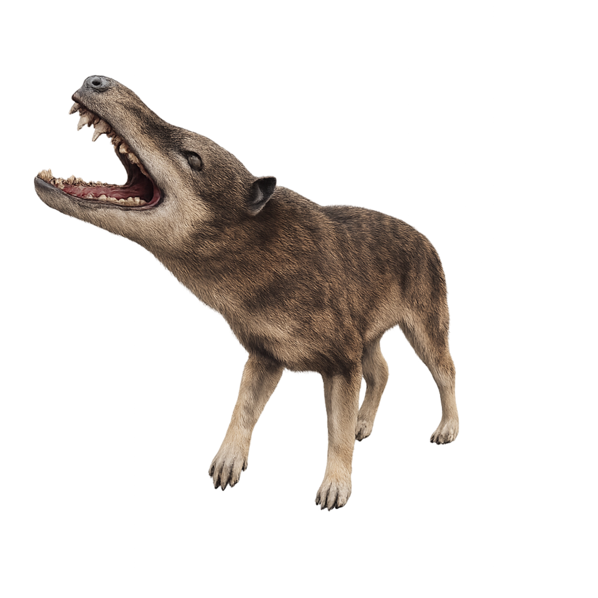 Painted Andrewsarchus Howling miniature