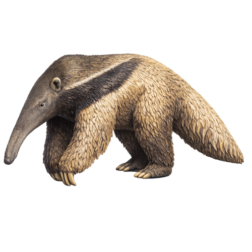 Painted Anteater miniature