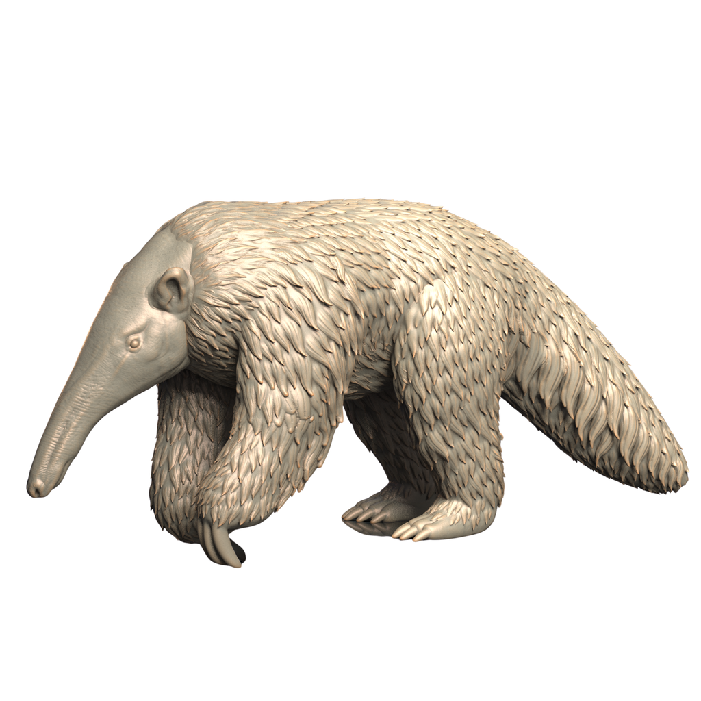 Model of an anteater on a white background
