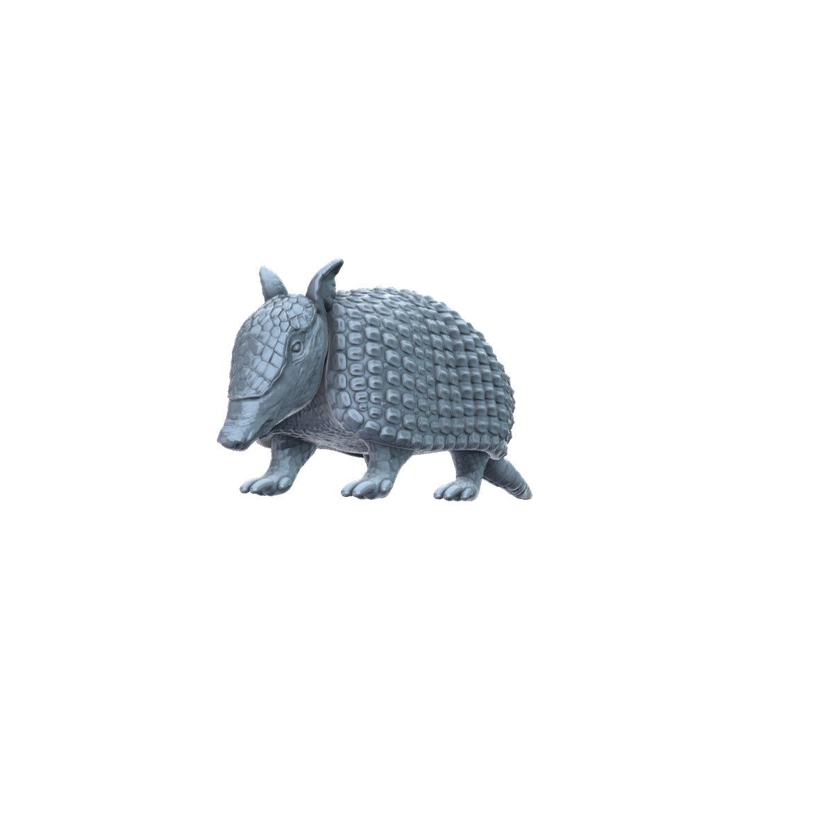 3D printed Armadillo front view