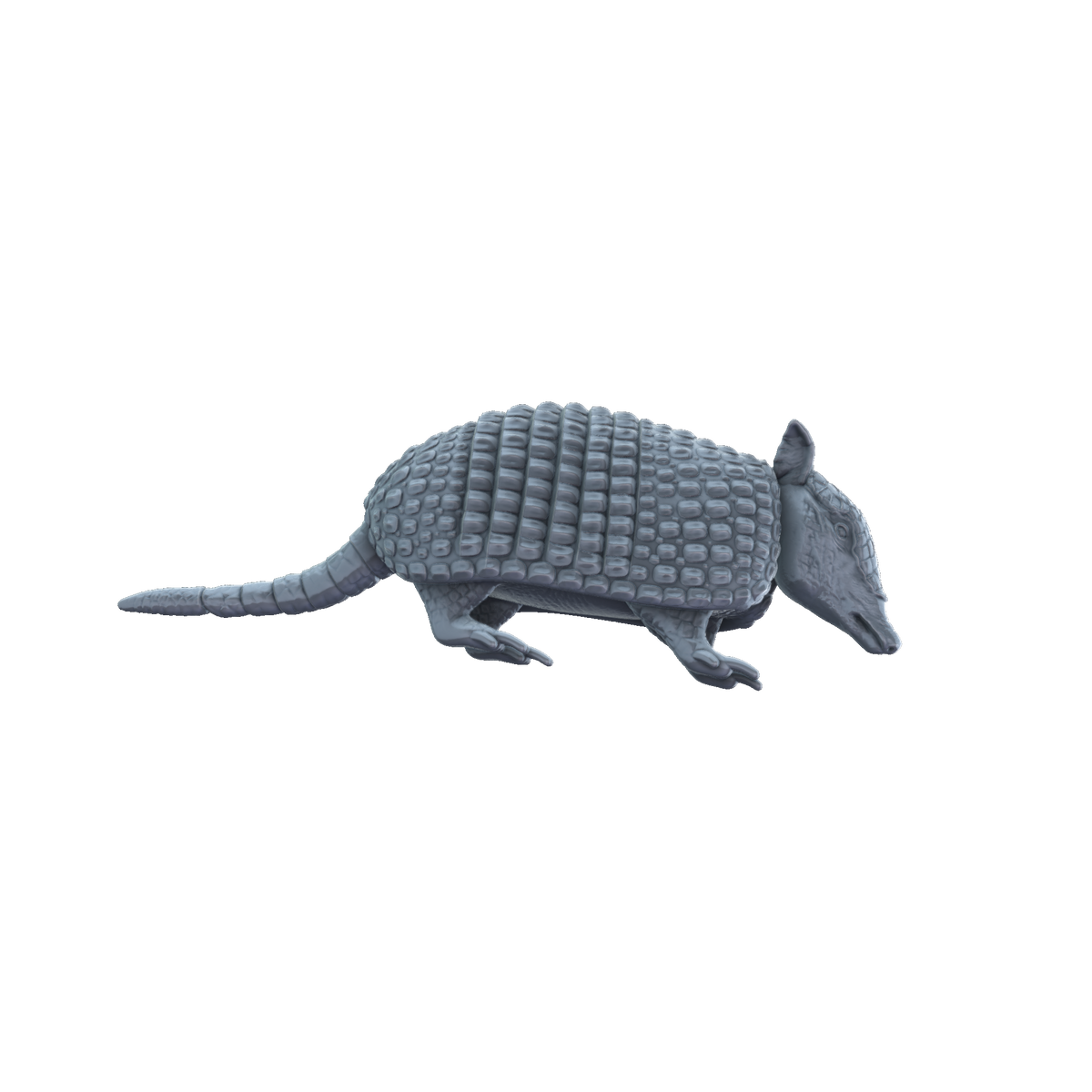 3D printed Armadillo side view