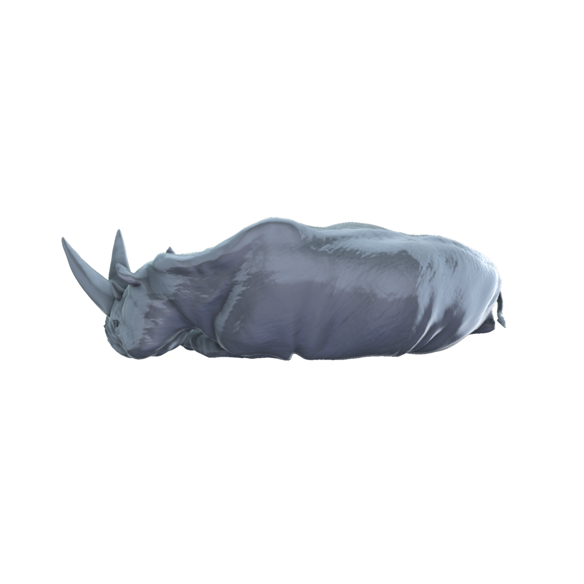 3D printed Arsinoitherium carcass rear view
