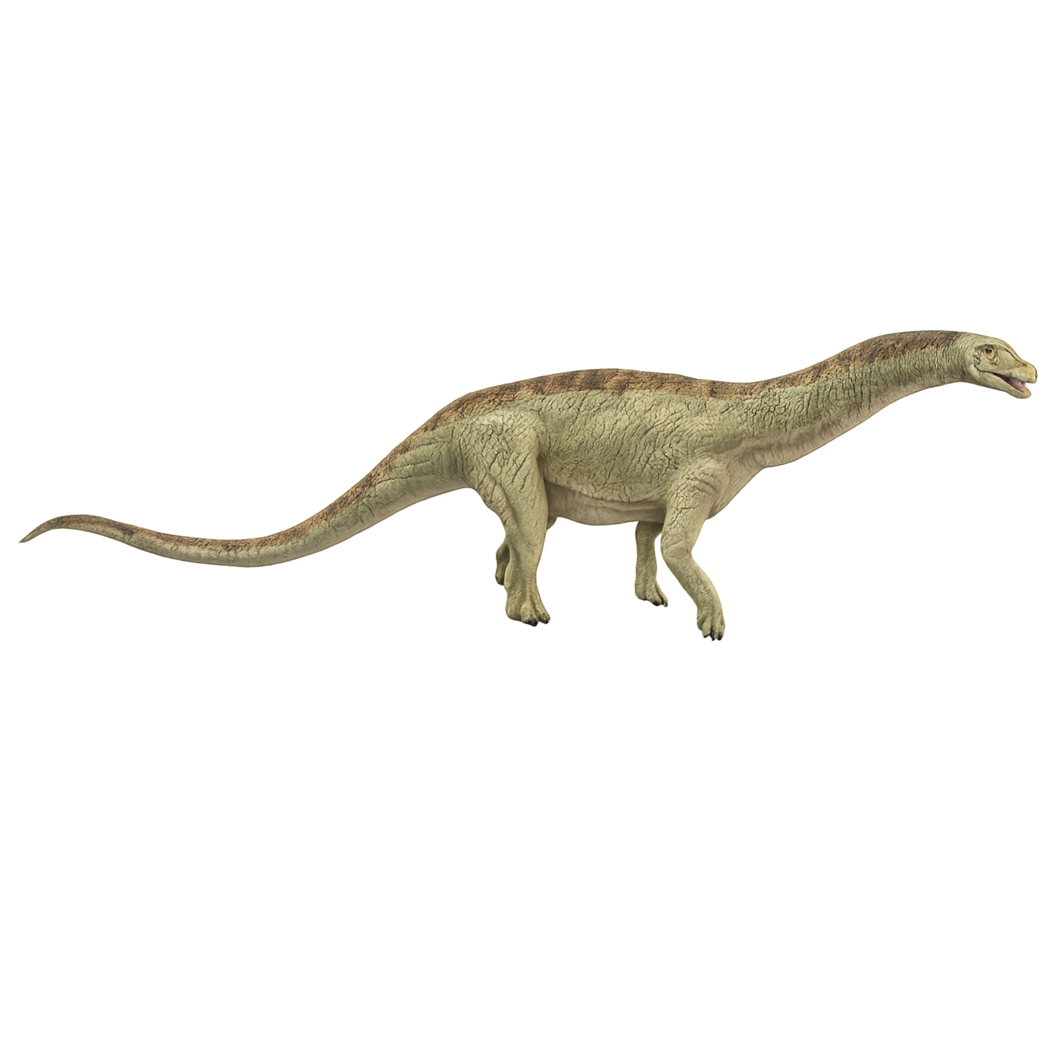 Painted Astigmasaura walking miniature