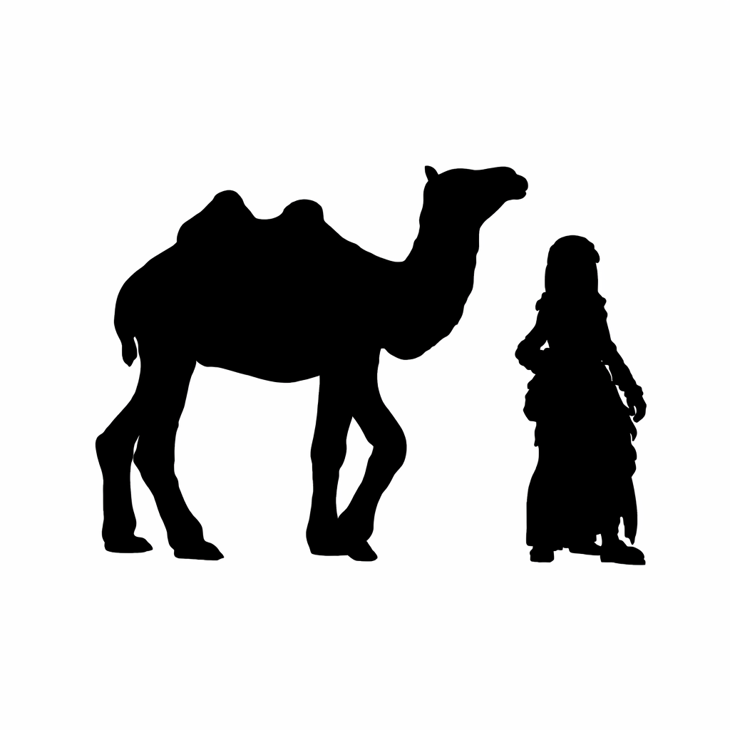 Bactrian camel walking Scale comparison to 28mm human miniature