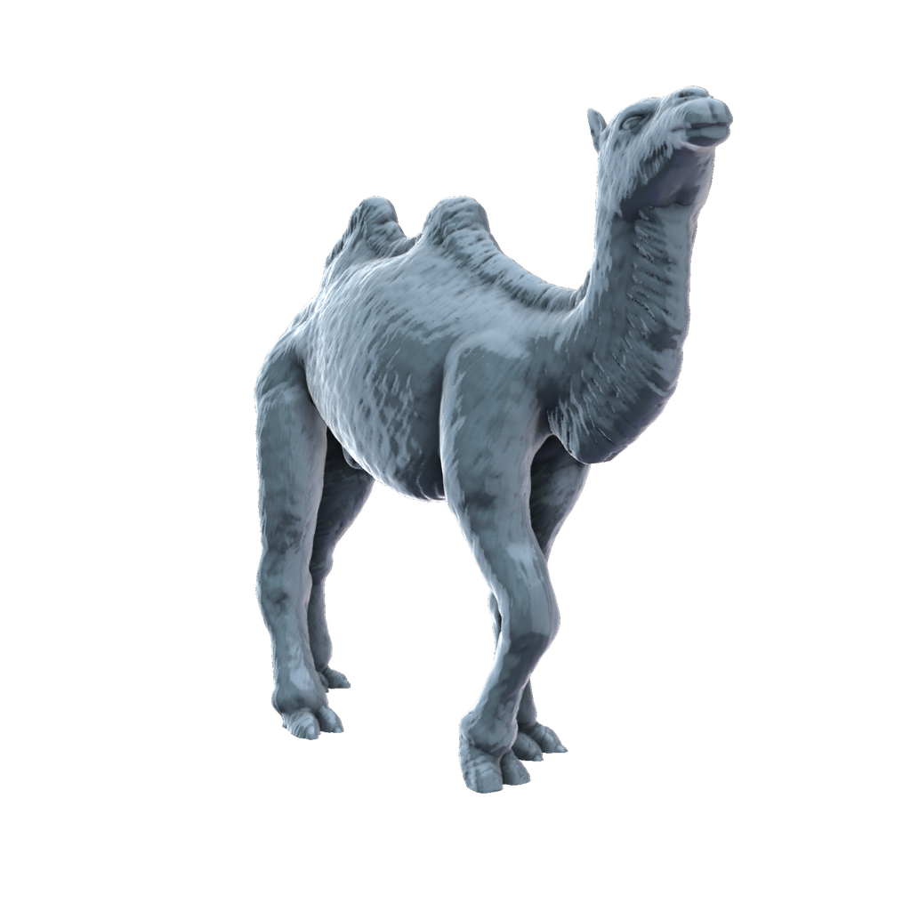 3D printed Bactrian camel walking front view