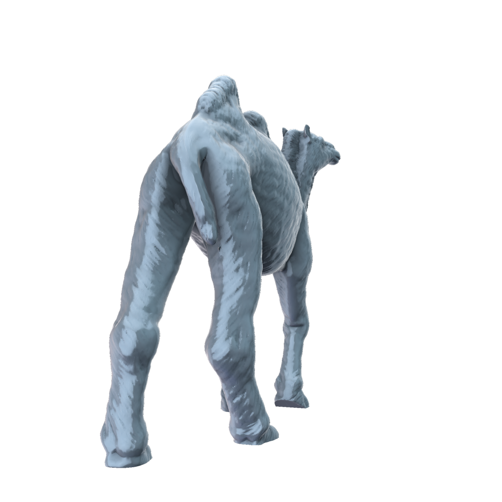 3D printed Bactrian camel walking rear view