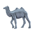 3D printed Bactrian camel walking side view
